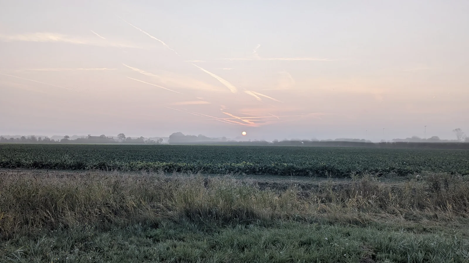 Zeeuws polderlandschap bij dageraad &mdash; een zachte roze lucht, de zon laag boven de velden.