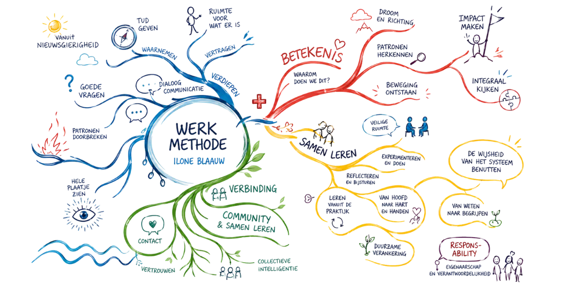 De werkmethode van Ilone Blaauw &mdash; vier takken: waarnemen, betekenis, samen leren en verbinding, samenkomend in het midden.